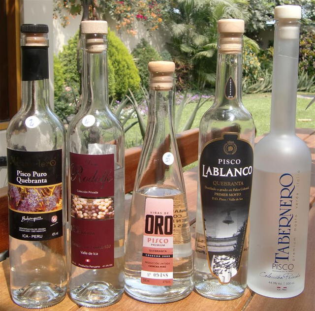 Pisco 