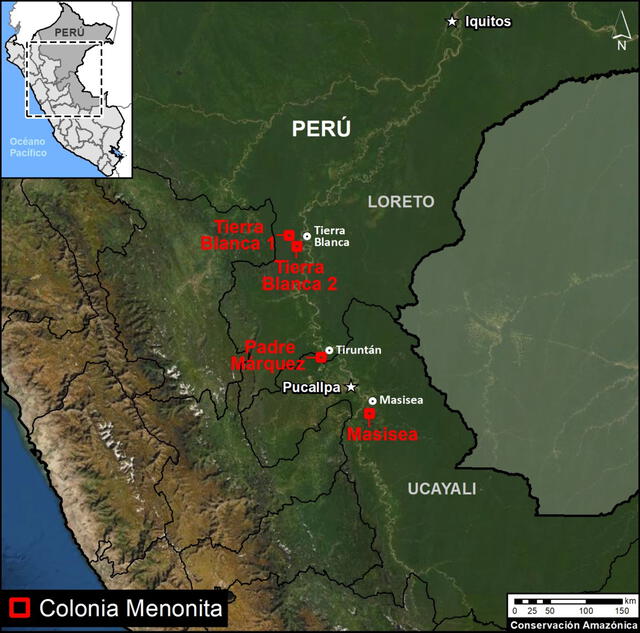 Se han detectado colonias menonitas en Loreto y Ucayali.