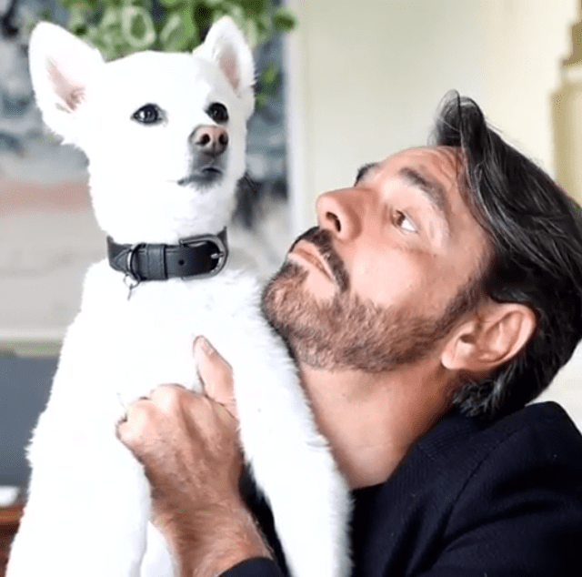 Eugenio Derbez es un fiel defensor de los animales