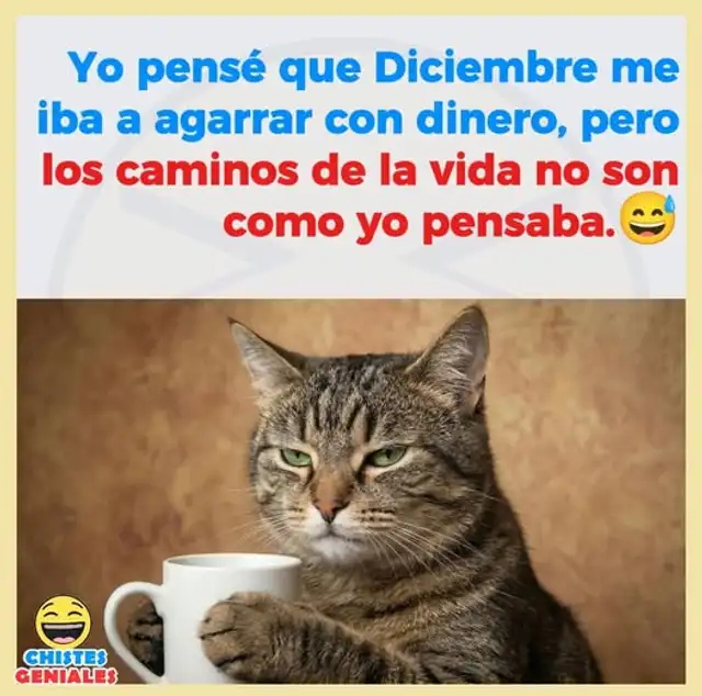  Memes de Navidad. Foto: difusión.    
