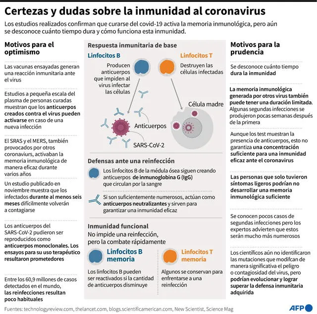 Gráfico sobre el estado actual de las investigaciones de la COVID-19 y los motivos por los que los científicos son prudentes antes una posible inmunidad a una reinfección. Infografía: AFP