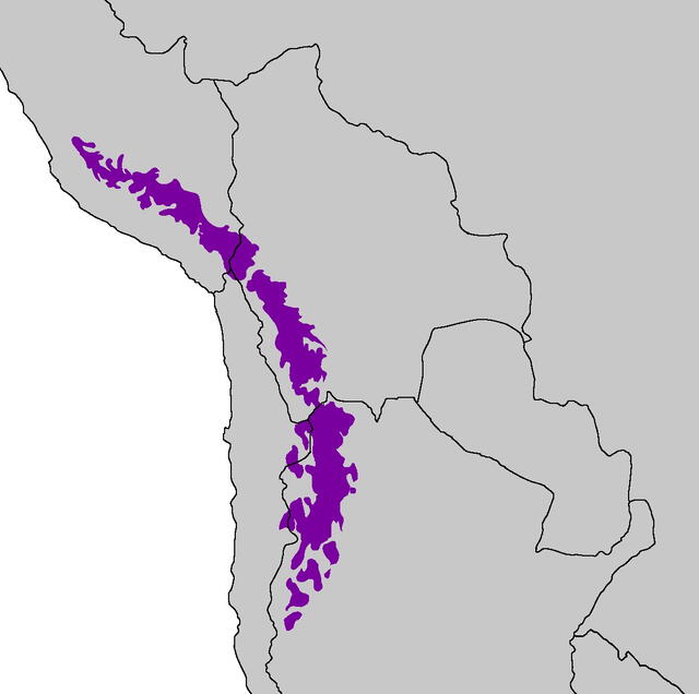  Este desierto frío conecta 4 países de Sudamérica. Foto: CDN<br>    