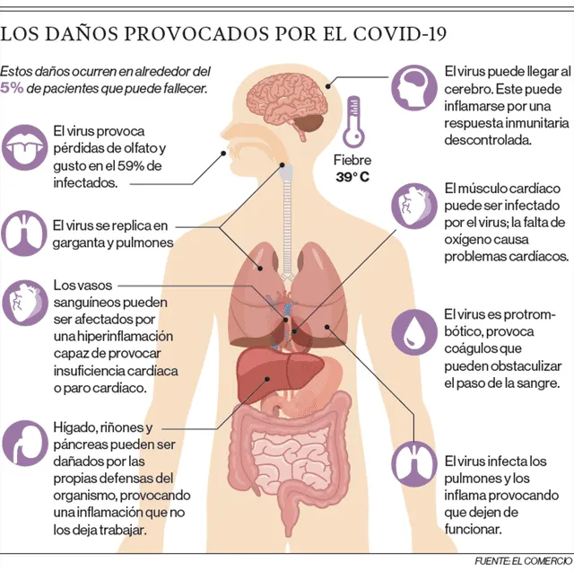 Afección de órganos por COVID-19.