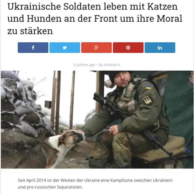 Imagen compartida para ilustrar la vida de soldados ucranianos en una base militar junto a mascotas. Fuente: Captura LR, The Holidog Times. Imagen compartida para ilustrar la vida de soldados ucranianos en una base militar junto a mascotas. Fuente: Captura LR, The Holidog Times.