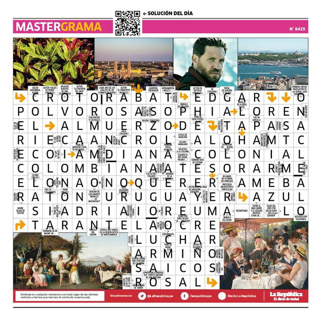 Mastergrama N° 8429 Mastergrama N° 8429