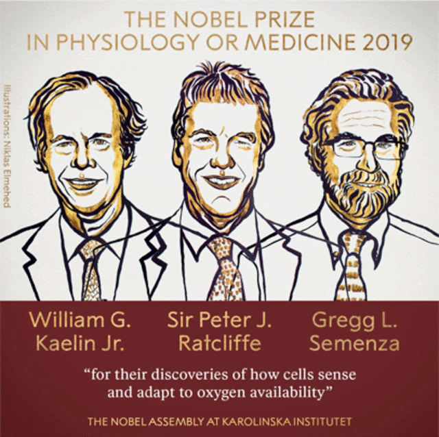 Premio Nobel Medicina