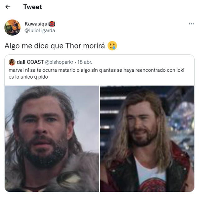 Fans comentan sobre el supuesto guiño a la muerte de Thor en "Love and thunder". Foto: captura de Twitter