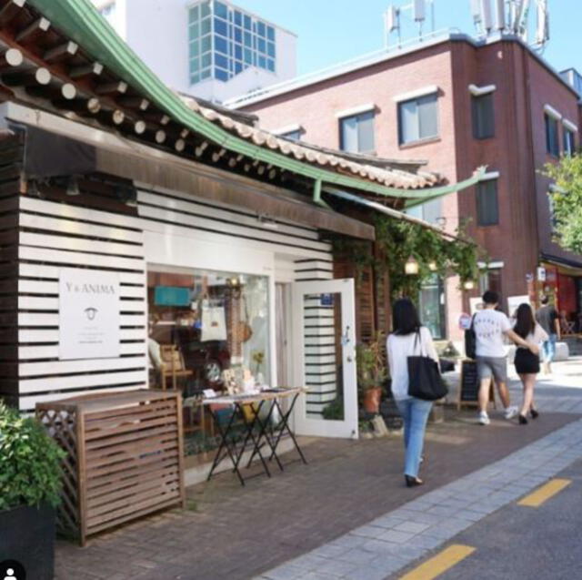 True beauty: showroom de Y&Anima. Foto: Instagram