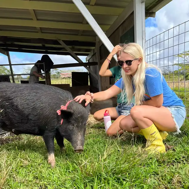 La iniciativa permite a los participantes ayudar en el cuidado de cerdos abandonados, fomentando la educación y el respeto hacia estos animales. Foto: Selah’s Pig Sanctuary La iniciativa permite a los participantes ayudar en el cuidado de cerdos abandonados, fomentando la educación y el respeto hacia estos animales. Foto: Selah’s Pig Sanctuary