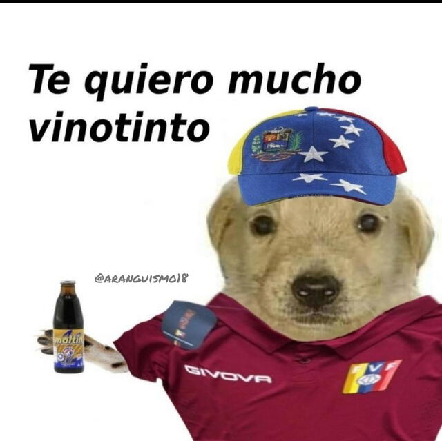 Eliminatorias al Mundial 2026 | Memes de la Vinotinto: revisa las divertidas imágenes que dejó el juego Venezuela vs Paraguay | a qué hora es el juego de la vinotinto hoy | FOTOS | videos | memes para facebook