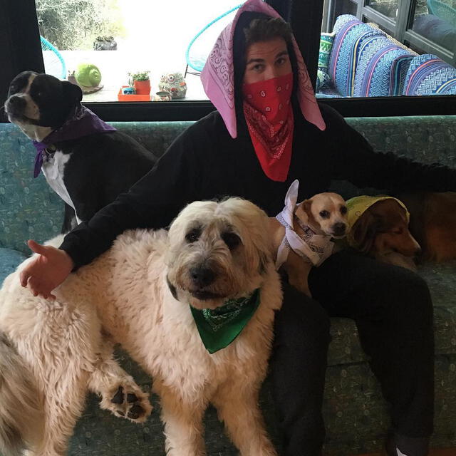 Miley Cyrus y Liam Hemsworth se enfrentarían por custodia de sus mascotas [FOTOS]