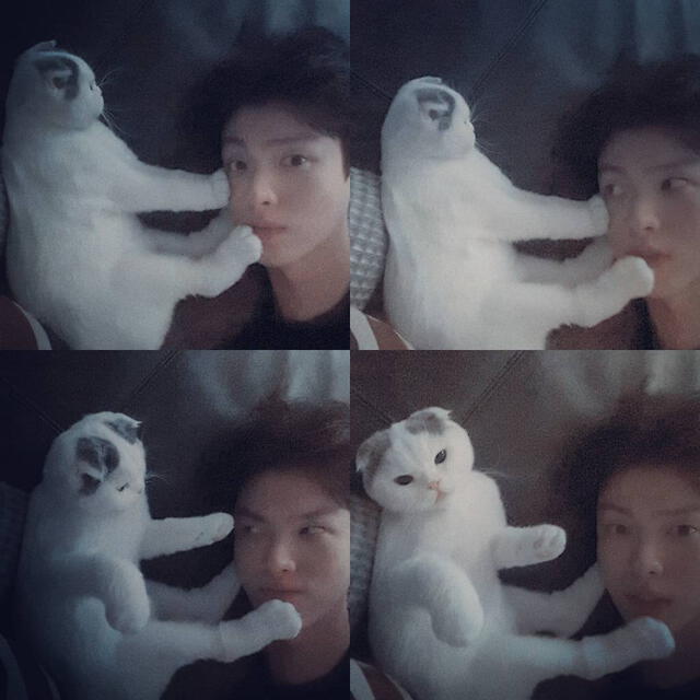 Goo Hye Sun usa al gato de Ahn Jae Hyun de excusa para evitar el divorcio 