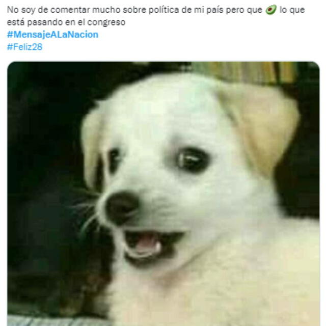 Los más divertidos memes del mensaje a la nación de Pedro Castillo.