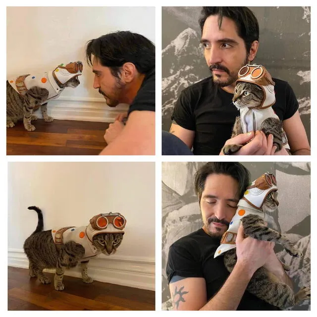Actor que da vida a Polka Dot Man contó cómo adoptó a un gato en set de Escuadrón Suicida. Instagram/@dastmalchian