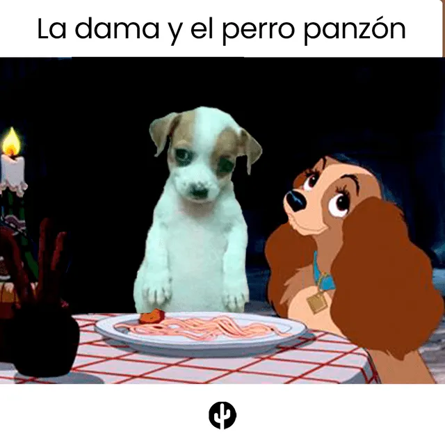 Perro panzón Perro panzón