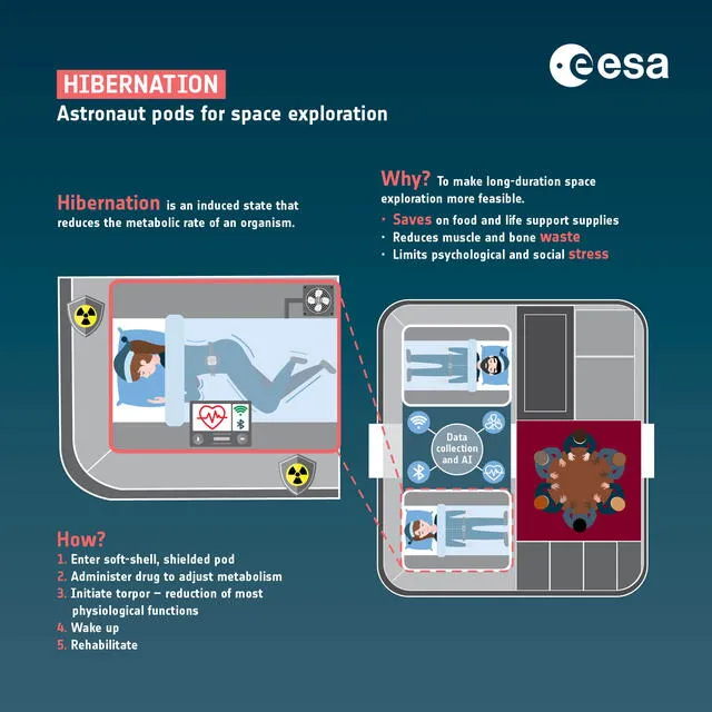 Dentro de las cápsulas de hibernación, la tripulación sería monitoreada por una inteligencia artificial de la nave. Foto: ESA