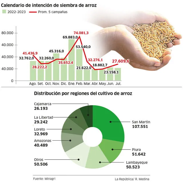 Siembra de arroz