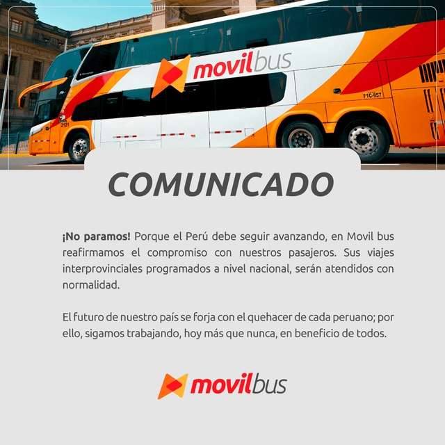 Movil bus