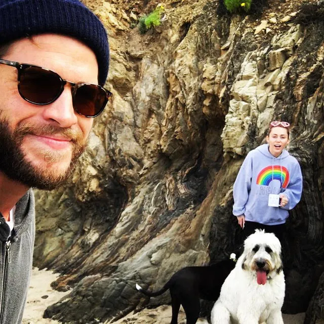 Miley Cyrus y Liam Hemsworth se enfrentarían por custodia de sus mascotas [FOTOS]