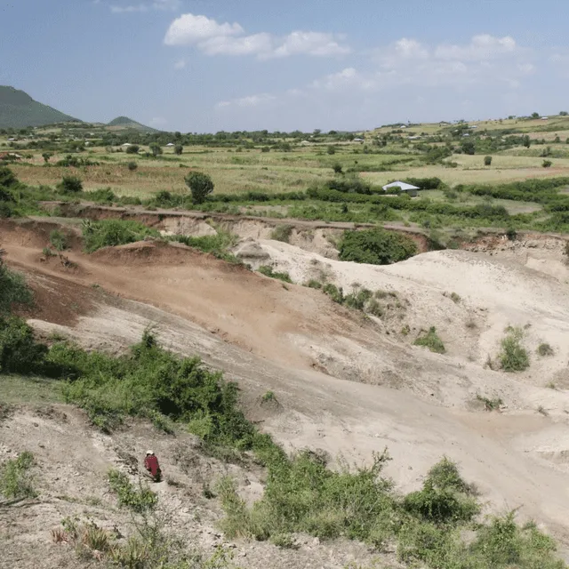  Yacimiento de Nyayanga (suoreste de Kenia) antes de la excavación. Foto: T. W. Plummer / Homa Peninsula Paleoanthropology Project   