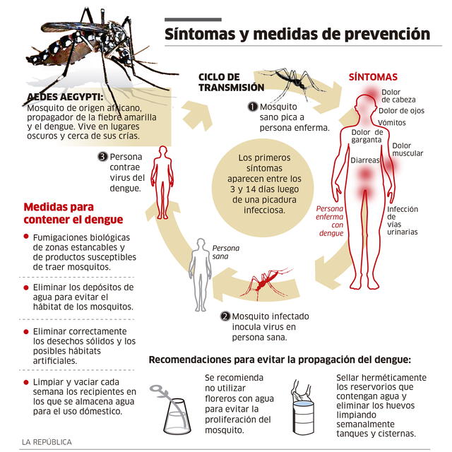 Infografía - La República   