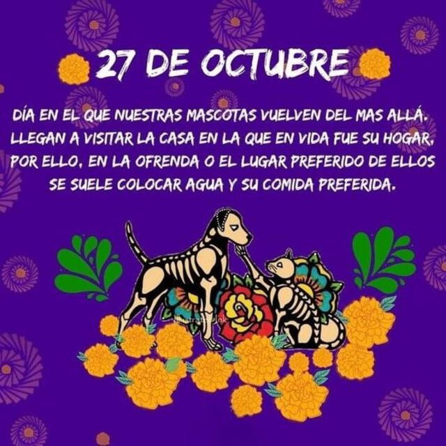 Imágenes por Día de Muertos de Mascotas 2023. Foto: Pinterest 