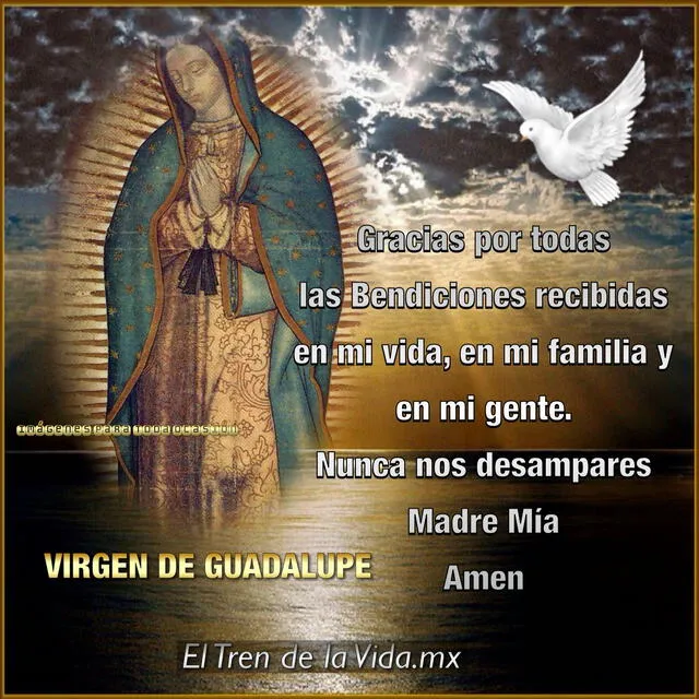 Frases, Día de la Virgen de Guadalupe - agradecimiento, cotas y originales, 12 de diciembre, MIX