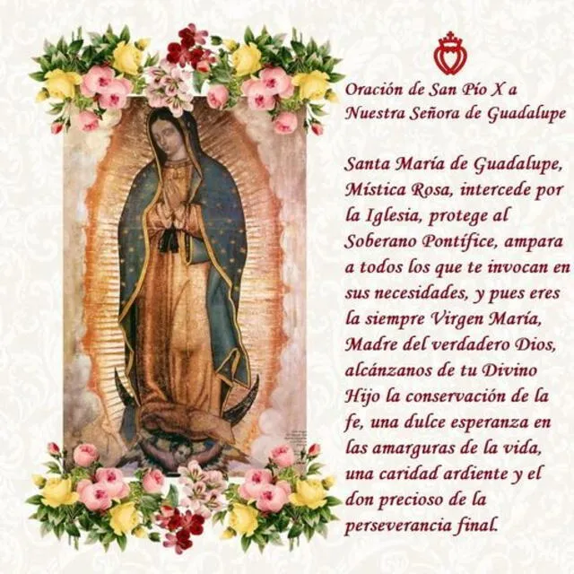 Oración para la Virgen de la Guadalupe | méxico | frases virgen de guadalupe | imágenes virgen de guadalupe