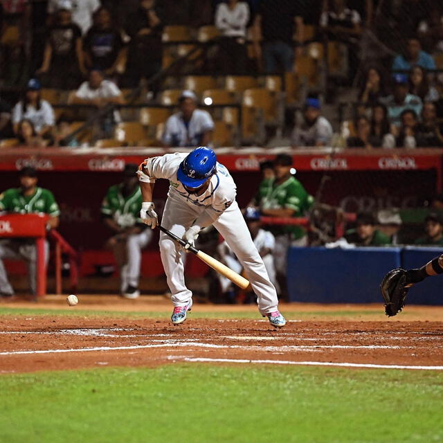 Tigres del Licey vs Estrellas Orientales EN VIVO