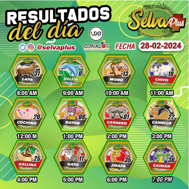 Resultados Guácharo Activo y Selva Plus EN VIVO HOY, 28 de febrero: revisa los números y animalitos GANADORES | guacharo tuazar | terminal activo | datos fijos para guacharo activo | tabla de selva plus | lotto rey | datos explosivos para hoy | Venezuela