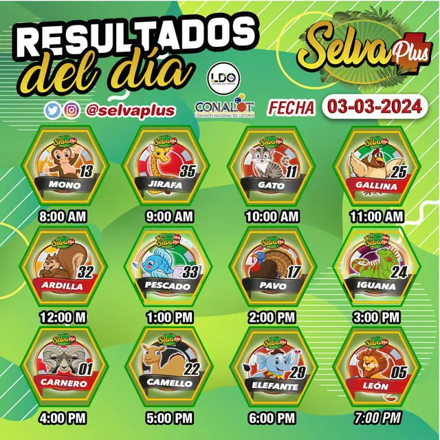 Resultados Guácharo Activo y Selva Plus EN VIVO: revisa los DATOS EXPLOSIVOS de HOY, 3 de marzo | datos guacharo activo explosivo hoy | resultados selva plus | guacharo tuazar | terminal activo | datos fijos para guacharo activo | tabla de selva plus | lotto rey | datos explosivos para hoy | resultado de | Venezuela Resultados Guácharo Activo y Selva Plus EN VIVO: revisa los DATOS EXPLOSIVOS de HOY, 3 de marzo | datos guacharo activo explosivo hoy | resultados selva plus | guacharo tuazar | terminal activo | datos fijos para guacharo activo | tabla de selva plus | lotto rey | datos explosivos para hoy | resultado de | Venezuela