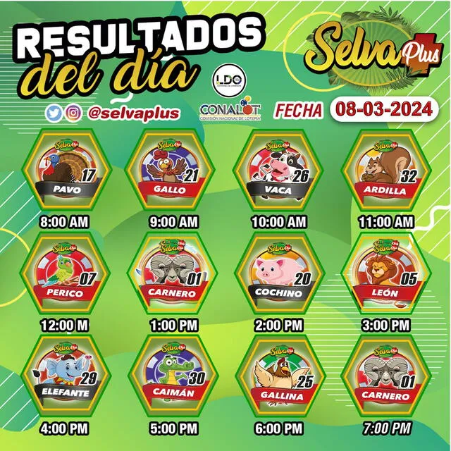 Resultados de Guácharo Activo y Selva Plus EN VIVO: revisa los DATOS EXPLOSIVOS de HOY, 9 de marzo | datos guacharo activo explosivo hoy | resultados selva plus | guacharo tuazar | terminal activo | datos fijos para guacharo activo | tabla de selva plus | lotto rey | datos explosivos para hoy | resultado de | Venezuela