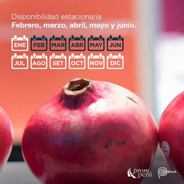 Los mejores meses para consumir granada son entre febrero y junio. Foto: PromPerú