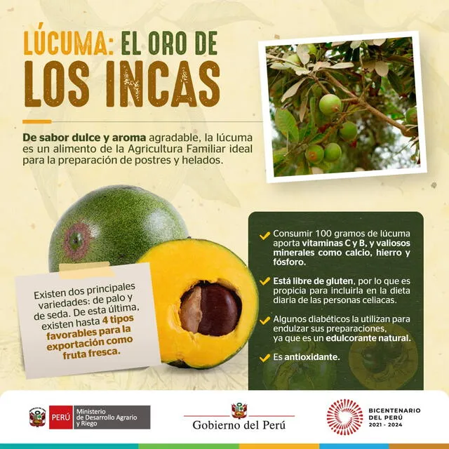  La lúcuma es considerada un alimento anticancerígeno. Foto: Ministerio de Desarrollo Agrario y Riego del Perú/Facebook<br>    