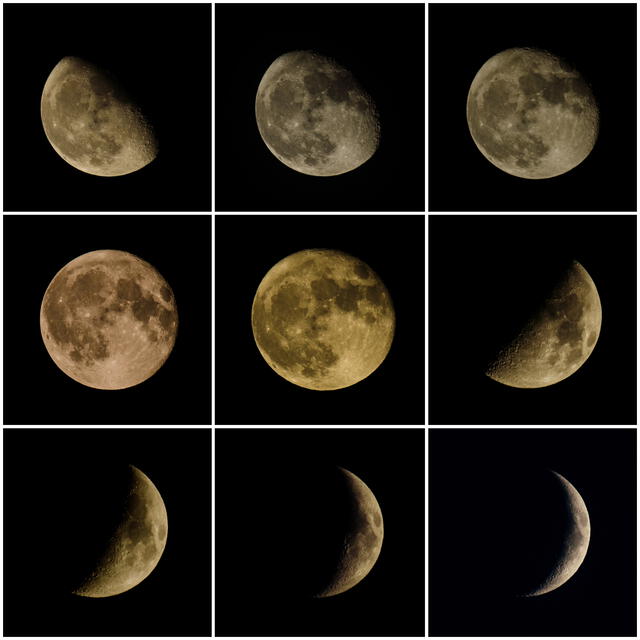  El ciclo completo de las fases de la Luna, conocido como mes sinódico, dura aproximadamente 29.5 días. Este ciclo abarca desde la luna nueva hasta la siguiente luna nueva. Foto: Pete Quinn/Flickr   