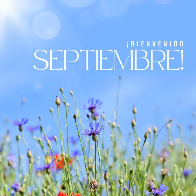  Ilustraciones por la llegada de septiembre. Foto: composición LR   