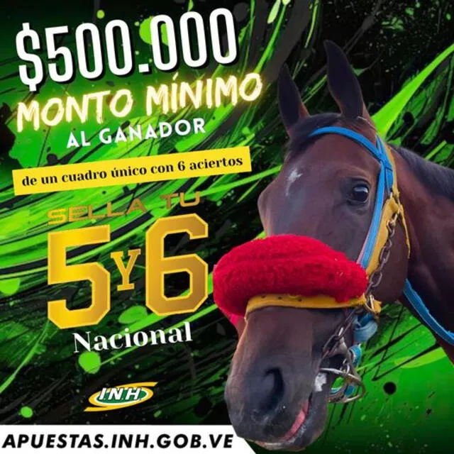 El INH promete un monto mínimo de Bs. 500.000 para el ganador con cuadro único de 6 aciertos. Foto: INH   