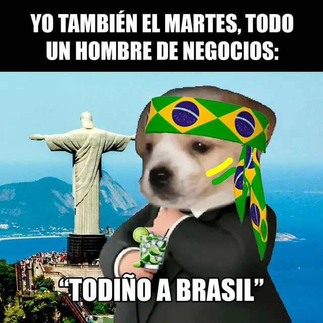  Usuarios compartieron divertidos memes sobre el Perú vs. Brasil. Foto: eltiodoradope/ TikTok    