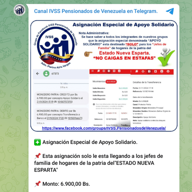 El Bono Apoyo Solidario representa una ayuda económica a las familias venezolanas. Foto: Canal IVSS Pensionados de Venezuela/ Telegram