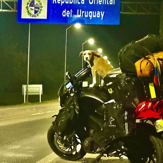  Yefersson y Frula recorriendo los 13 países de Sudamérica en una moto adaptada. Foto: Instagram yeferssong86   