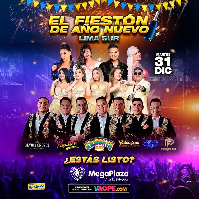  Concierto fin de año radio Karibeña. Foto: Instagram   