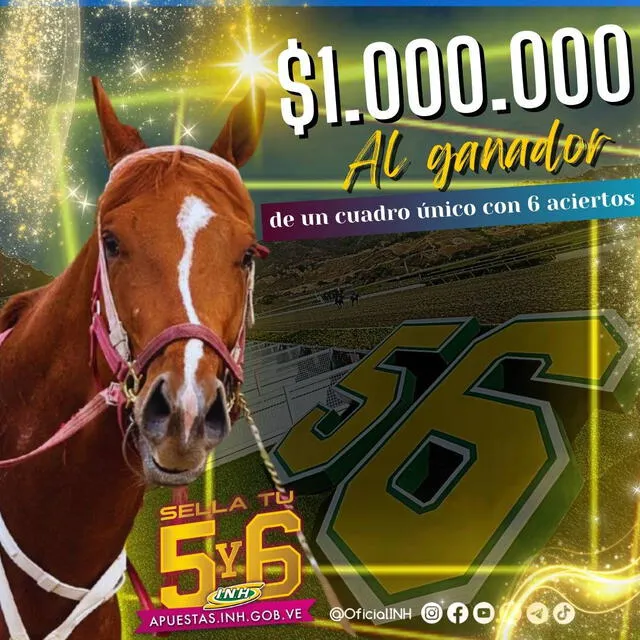 El ganador de un cuadro único con 6 aciertos puede llevarse un mínimo de US$1 millón. Foto: INH   