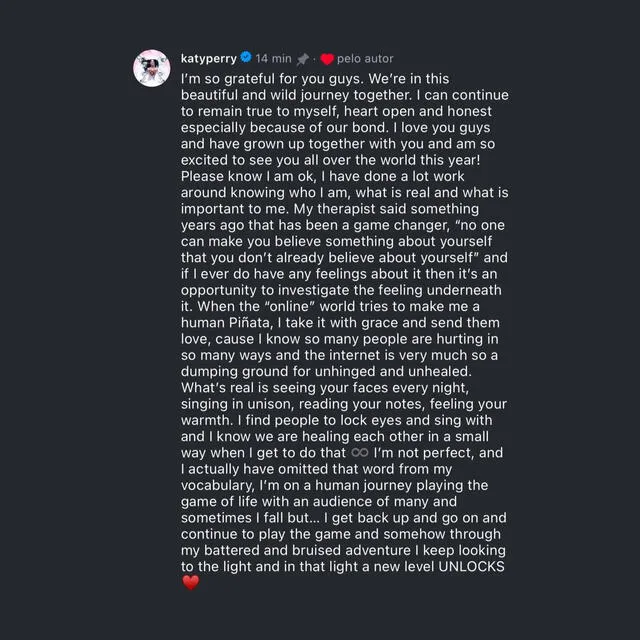 Katy Perry respondió las críticas recibidas en un comentario. Foto: Instagram (@Katy Perry Today). Katy Perry respondió las críticas recibidas en un comentario. Foto: Instagram (@Katy Perry Today).