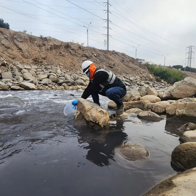 Especialistas investigan calidad del agua del Rímac tras inusual coloración. Foto: ANA.   
