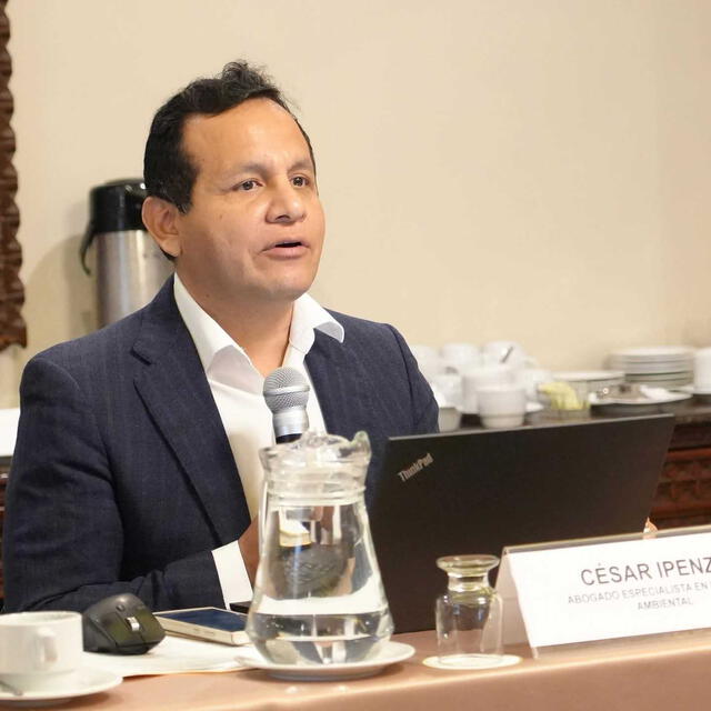 El abogado ambientalista César Ipenza cuestionó la inclusión de la figura de servidumbre en Ley Mape. Foto: difusión El abogado ambientalista César Ipenza cuestionó la inclusión de la figura de servidumbre en Ley Mape. Foto: difusión