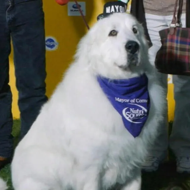  Duke fue la cara de distintas marcas, ya que aparecía regularmente en eventos oficiales de Minnesota. Foto: WDay.com   