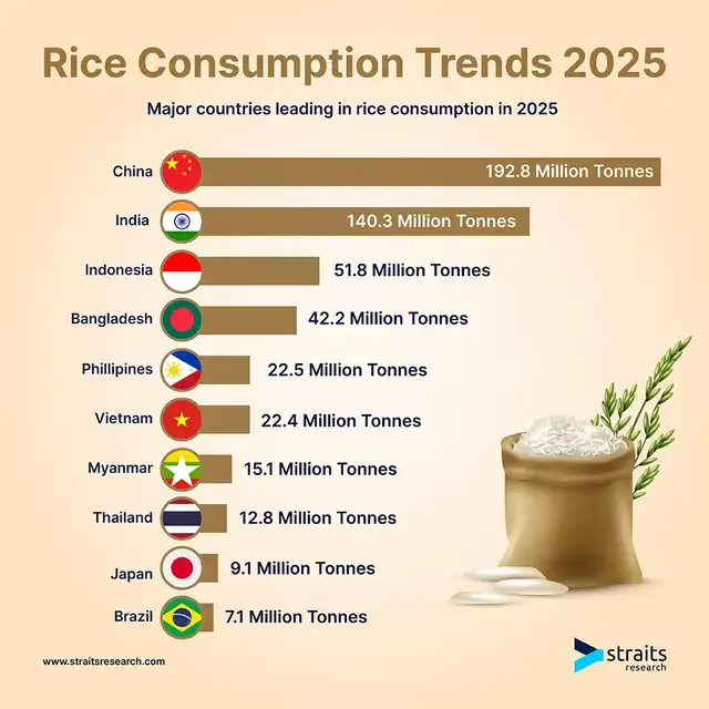 Top 10 de los mayores consumidores de arroz en el mundo. Foto: Straits Research<br> Top 10 de los mayores consumidores de arroz en el mundo. Foto: Straits Research<br>