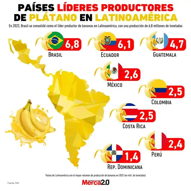  Los países que lideraron la producción de plátano o bananas en América Latina. Foto: Merca2.0<br />    » title=» Los países que lideraron la producción de plátano o bananas en América Latina. Foto: Merca2.0<br />    »   width=»640″ height=»640″ loading=»lazy» decoding=»async»></p>
<p> Los países que lideraron la producción de plátano o bananas en América Latina. Foto: Merca2.0    </p>
<h2> Perú, el líder de los bananos orgánicos en la región   </h2>
<p> <a href=