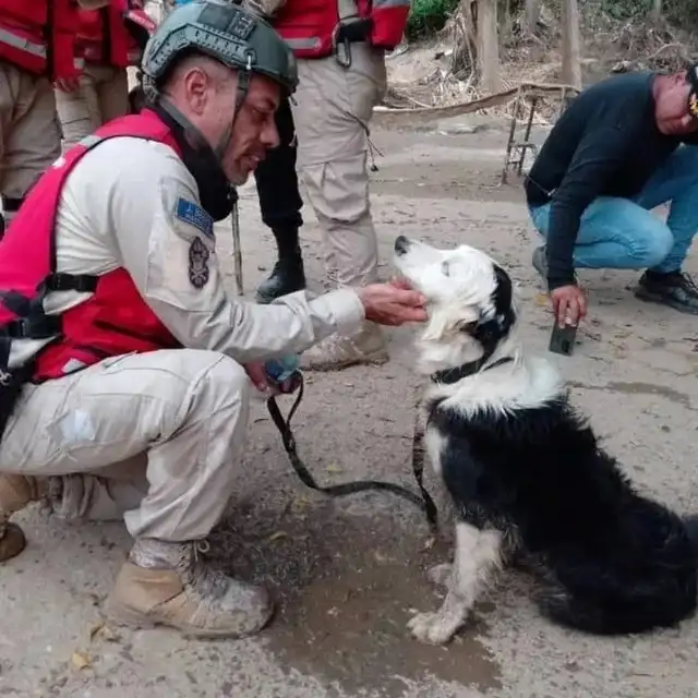 El rescatista Jorge Beens junto al perro Tsunami. Foto: @ksar_ecid/Instagram