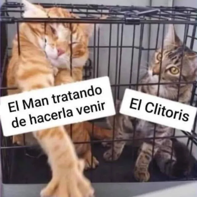 meme clítoris sexualidad